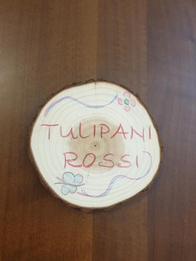 Appartamento I Tulipani. Camera I Tulipani Rossi Барберино-ді-Муджелло Екстер'єр фото